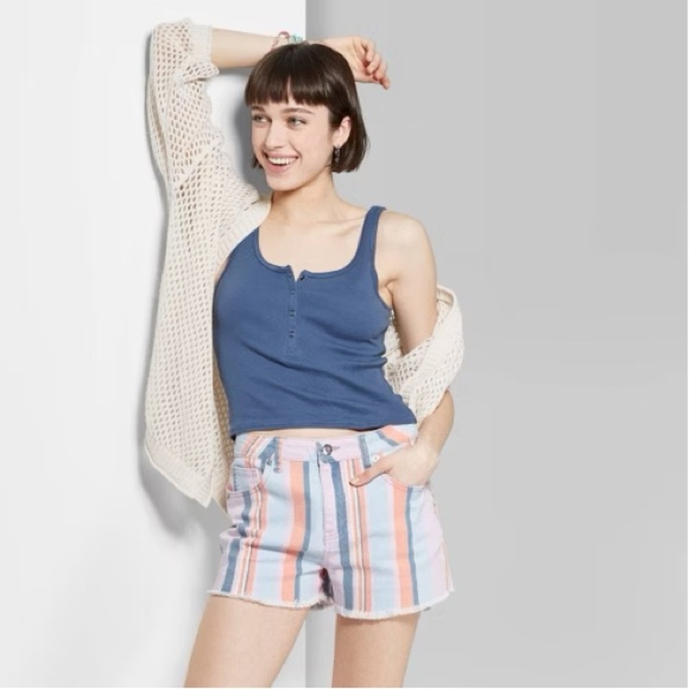 Wild Fable Multicolor Striped Denim Shorts